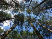 Евгений Евсеев фотография #11 (источник - https://vk.com/id1179546)