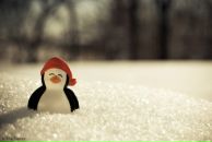 Фотография Микканен Нади