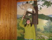 Ірина Теліжин фотография #16 (источник - https://vk.com/id88221037)