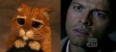 Castiel ... фотография #37 (источник - https://vk.com/id79020160)