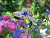 Фотография Беляй Иры