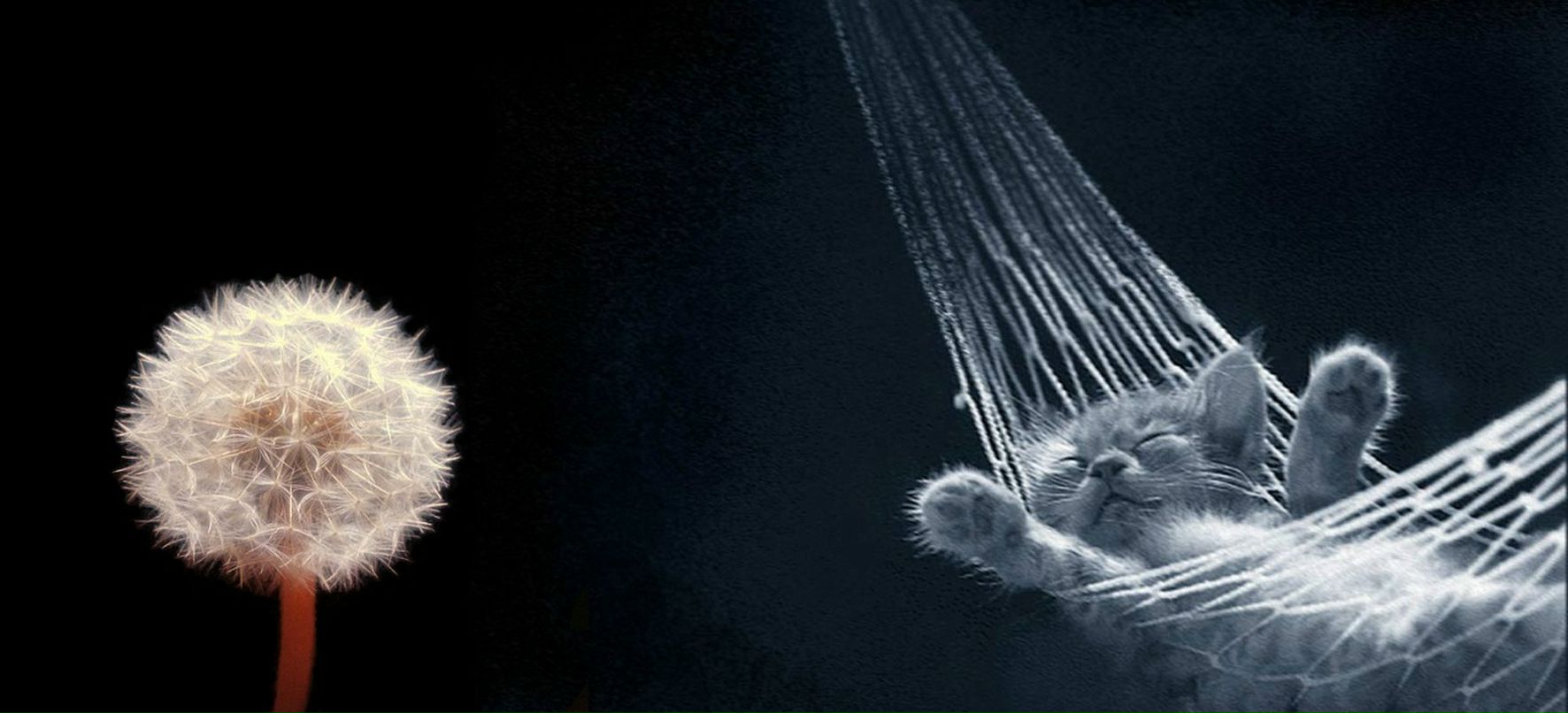 Руслан Флягин фотография #26