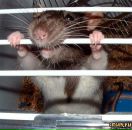 Віталік Пилипів фотография #22 (источник - https://vk.com/id40101277)