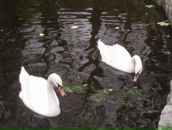 Каріна Каріночка фотография #4 (источник - https://vk.com/id80433512)