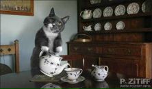 Фотография Королева Ирина