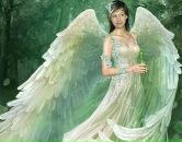 Фотография Фейной Феи