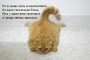 Ірина Дубно фотография #2 (источник - https://vk.com/id17943723)
