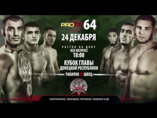 Международный турнир по смешанным единоборствам ProFc-64 на Кубок Главы Донецкой народной республики. Начало трансляции 18:00МСК