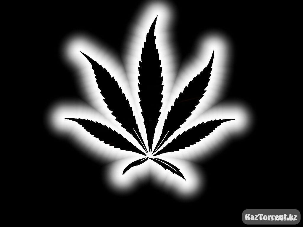 Иван Басаев фотография #32