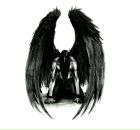 Фотография Серова Сергея