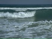 Фотография Пантюкова Александра