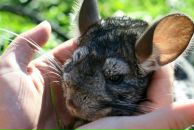 Марина Кремлёва фотография #30 (источник - https://vk.com/id368166)