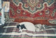 Світлана Майкова фотография #11 (источник - https://vk.com/id22782908)