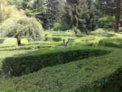 Мурат Керимов фотография #36 (источник - https://vk.com/id8145337)