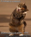 Стас Тимофеев фотография #44 (источник - https://vk.com/id3975274)