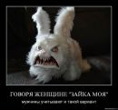 Фотография Аникин Федор
