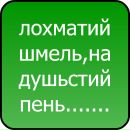 Оля Війтович фотография #33 (источник - https://vk.com/id139977168)
