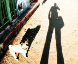 Фотография Лобанова Андрея