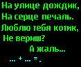 Наталя Королівська фотография #13 (источник - https://vk.com/id60077115)