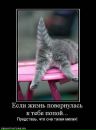 Христя :))) фотография #30 (источник - https://vk.com/id86757270)