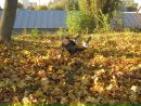 Даринка Смєлова фотография #9 (источник - https://vk.com/id104280650)