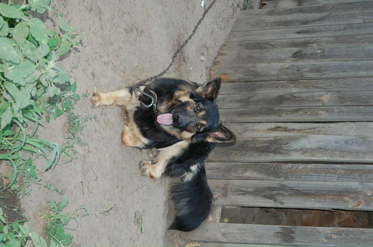 Танюфка Пятницкая фотография #15