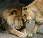 Фотография Султановой Екатерины