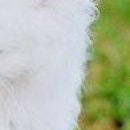 Катя Махніцька фотография #4 (источник - https://vk.com/id80782505)