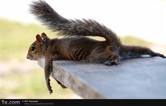 Вова Егоренков фотография #18