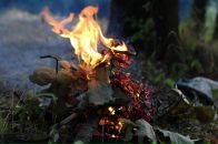 Фотография Романа Романа