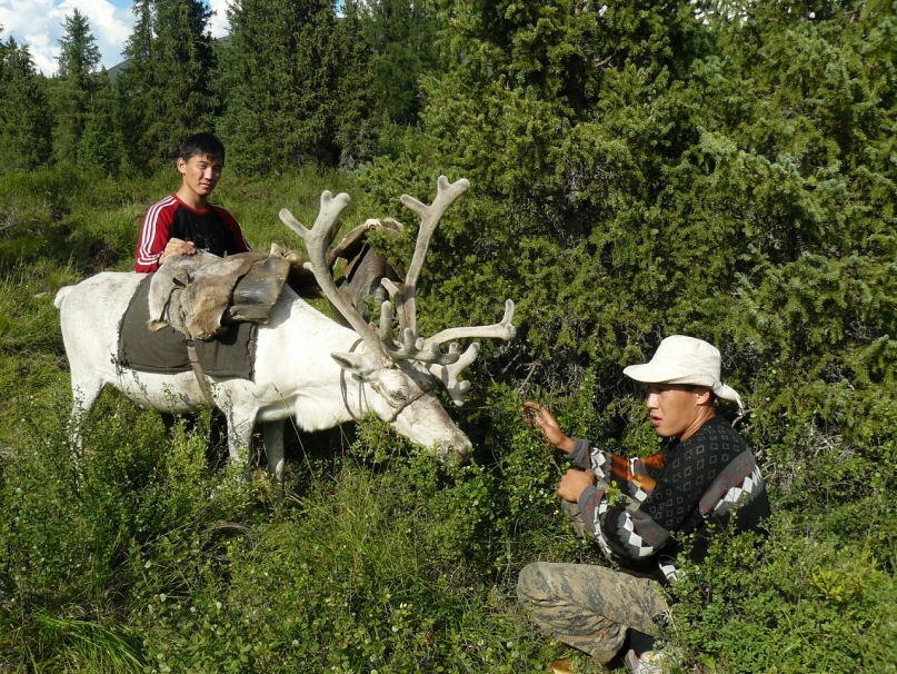 Иван Баргаев фотография #9