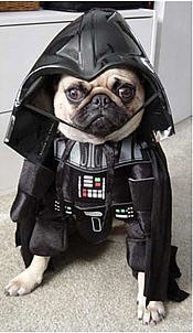 №4, Сергей Дороднов №4, Сергей Дороднов