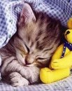 Юлічка Резніченко (Холодняк) фотография #44 (источник - https://vk.com/id62390568)