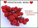 Ігор Цимбаляк фотография #32 (источник - https://vk.com/id13539913)
