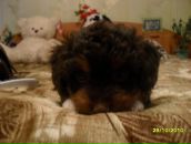 Фотография Malikina Natalia