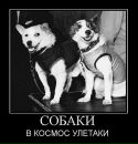 Віталік Вольт фотография #47 (источник - https://vk.com/id2228781)