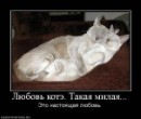 N[i]ki Baby фотография #45 (источник - https://vk.com/id66662499)