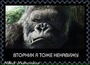 Вікуся Шевчишин фотография #2 (источник - https://vk.com/id72279576)