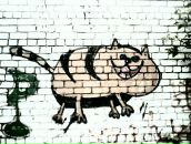 Фотография Агафоновой Оли