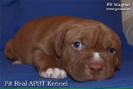 Фотография Свиридова Евгения