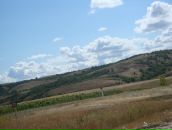 Фотография Кокшаровой Ларисы