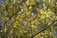 Макс Мелентьев фотография #34 (источник - https://vk.com/id207608)