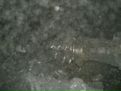 Фотография Нейвирта Димы