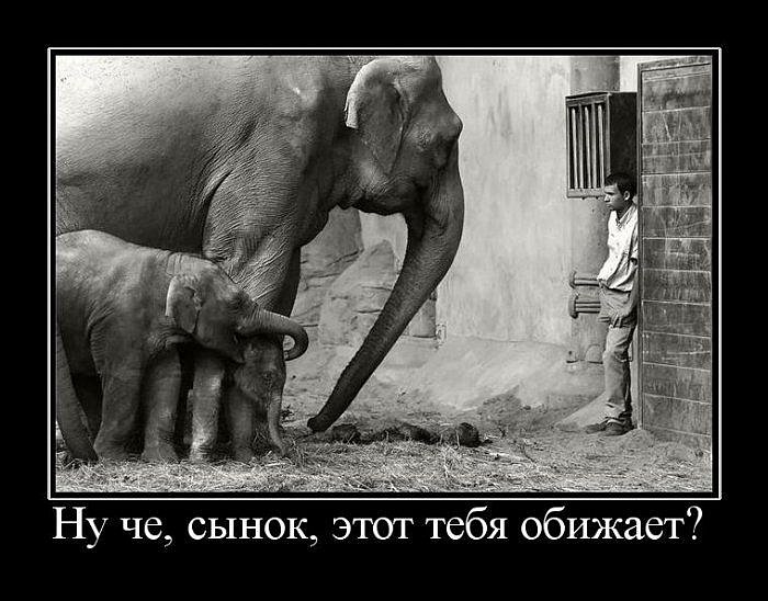 Антон Потапенко фотография #37