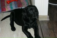 Фотография Морозова Мити