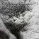 Каріно4ка♥ Шрамко фотография #36 (источник - https://vk.com/id147791993)