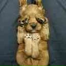 Фотография Пухова Алексея