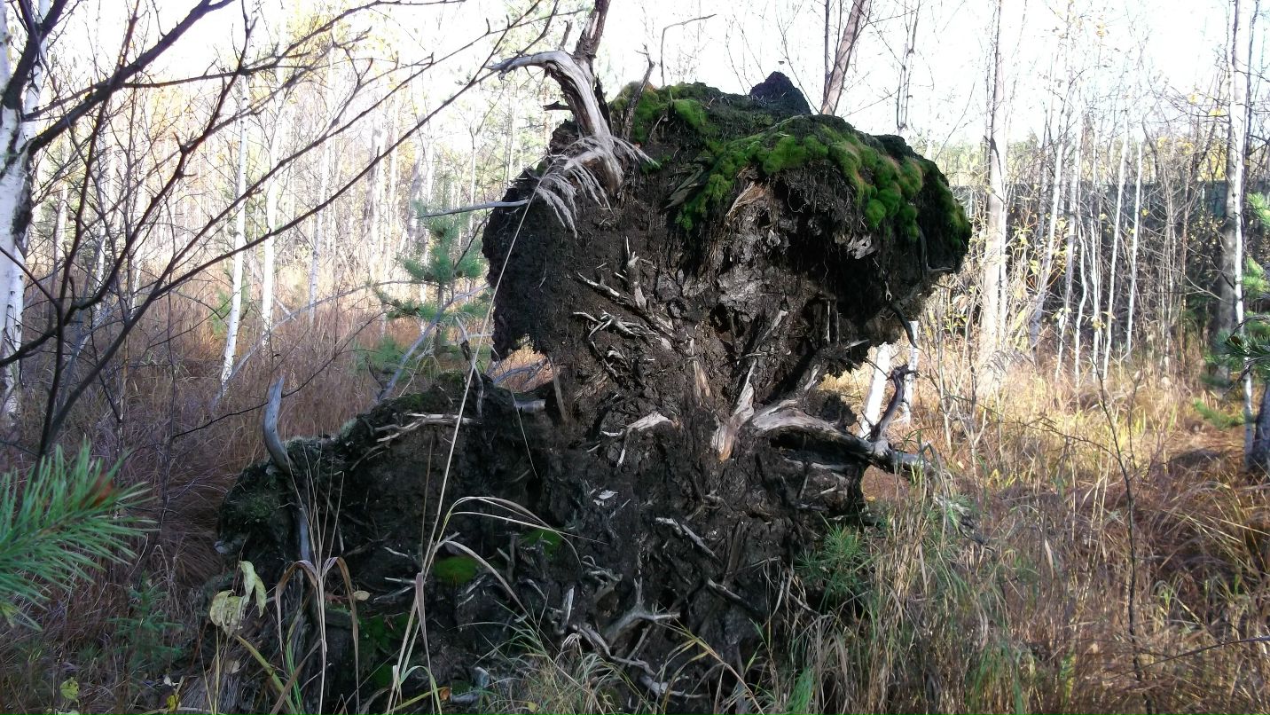 Александр Бабенко фотография #35