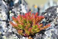 Nick N фотография #50 (источник - https://vk.com/id16209708)