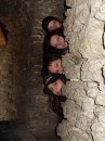 Іра Скатова фотография #41 (источник - https://vk.com/id8993081)
